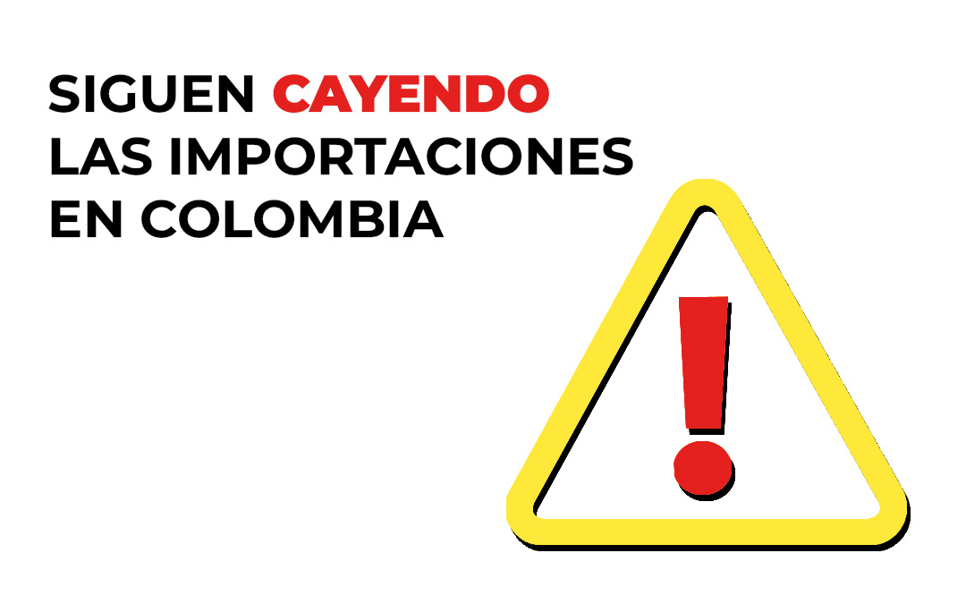 Se cumplen 14 meses consecutivos de la caída de las importaciones. ¿A qué se debe este fenómeno?