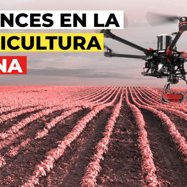 ¡China lidera el futuro de la Agricultura con Drones y Granjas Verticales!