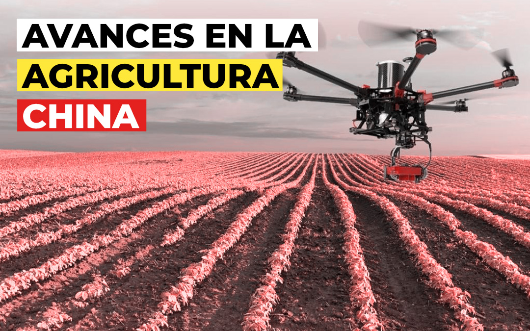 ¡China lidera el futuro de la Agricultura con Drones y Granjas Verticales!