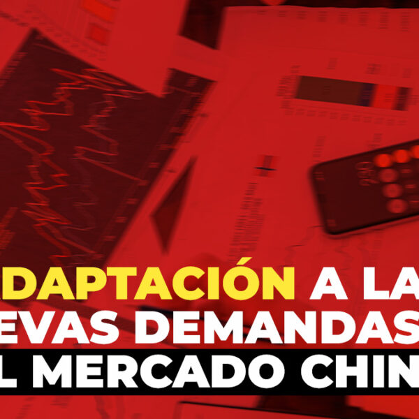 Personalización en el mercado chino: Adaptándose a las nuevas demandas del consumidor